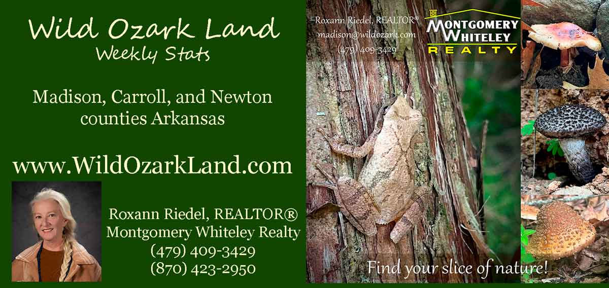 Local Residential Stats for Feb 27, 2025