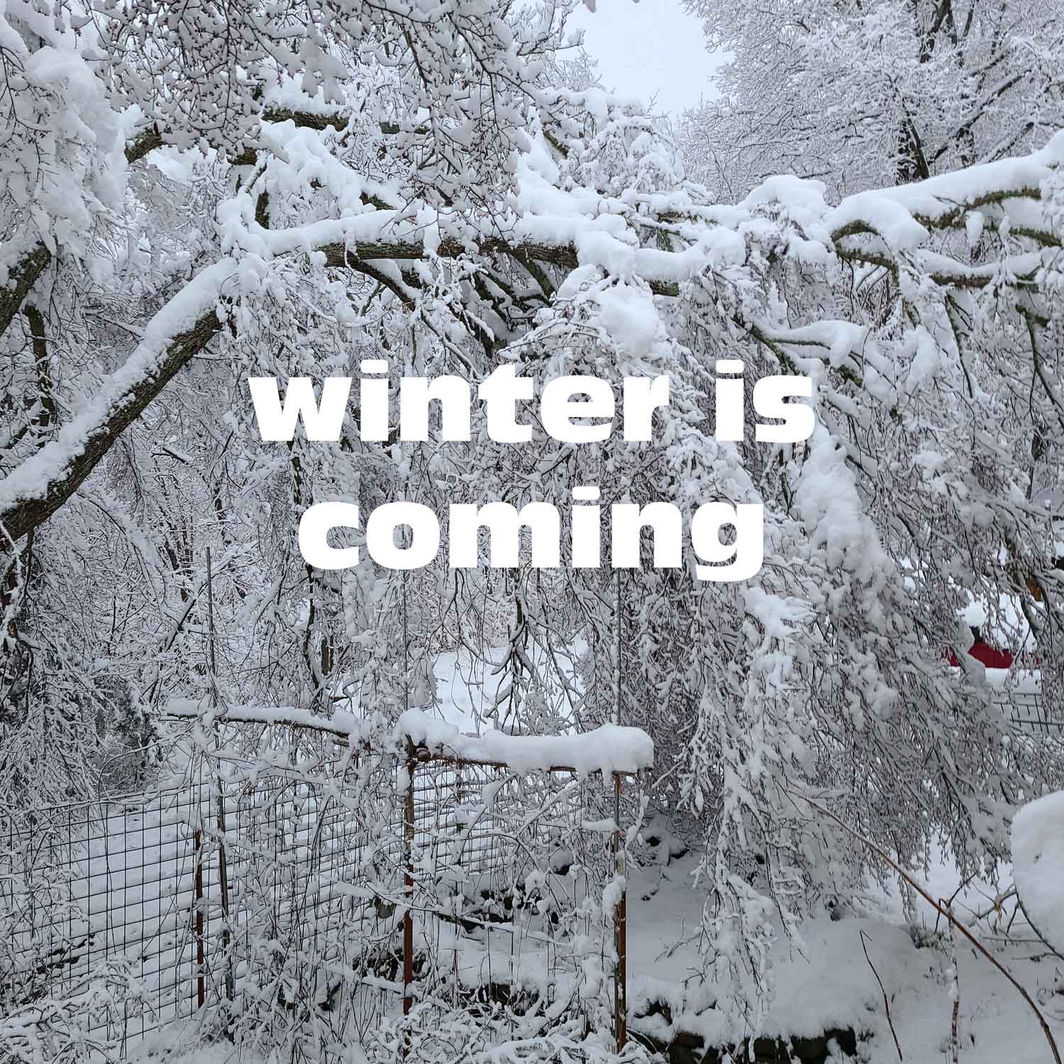 Prepare for a Rural Winter in NWA