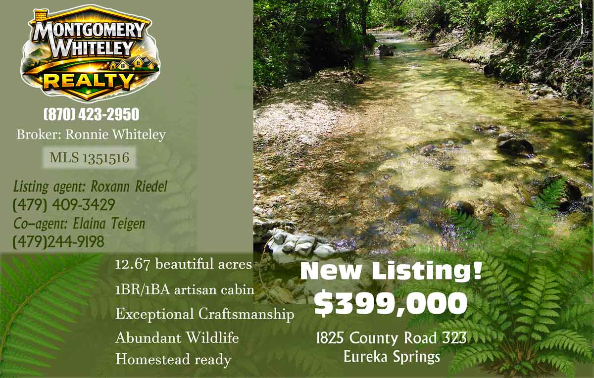Featured image for a home for sale near Trigger Gap, a popular floating destination in northwest Arkansas.